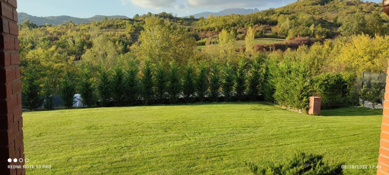 View Cozia Villa Călimăneşti Екстериор снимка