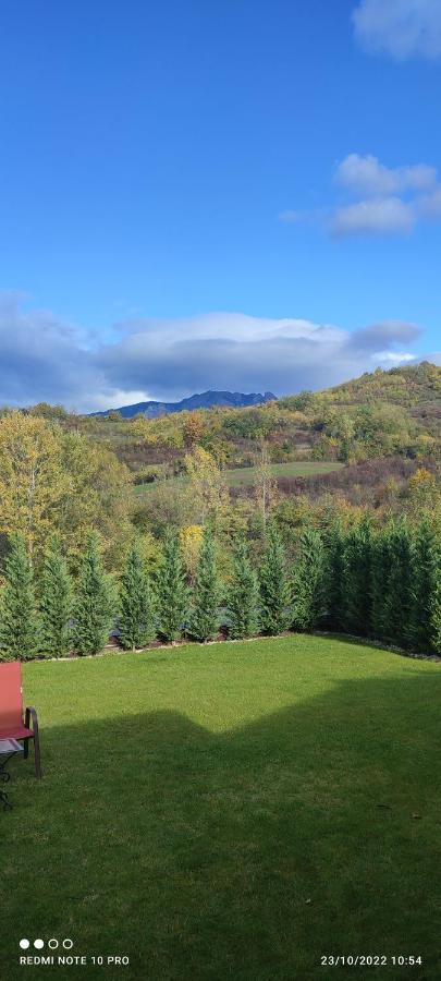 View Cozia Villa Călimăneşti Екстериор снимка