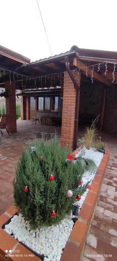 View Cozia Villa Călimăneşti Екстериор снимка