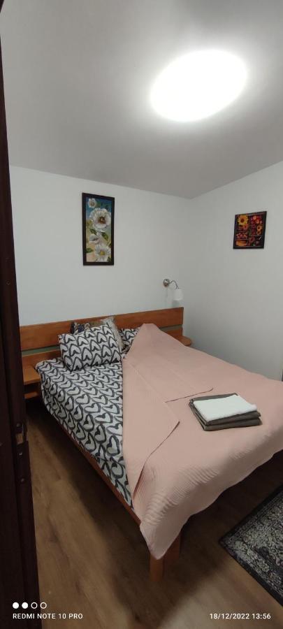 View Cozia Villa Călimăneşti Екстериор снимка