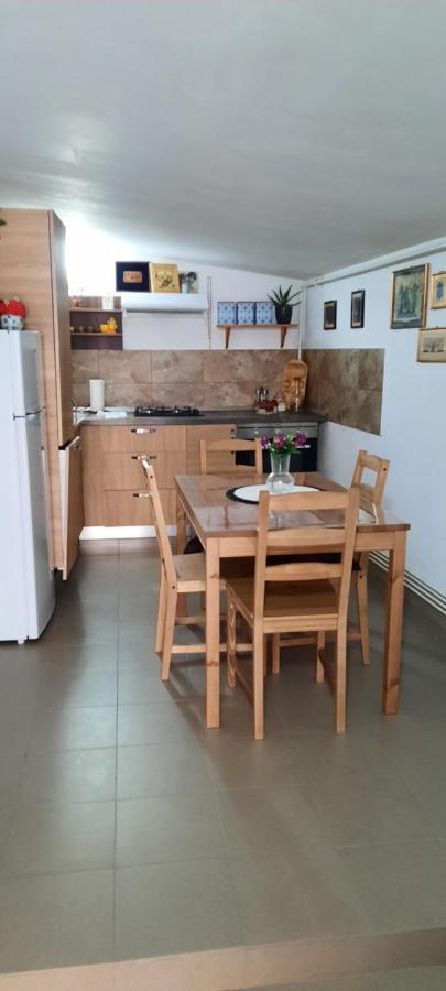 View Cozia Villa Călimăneşti Екстериор снимка