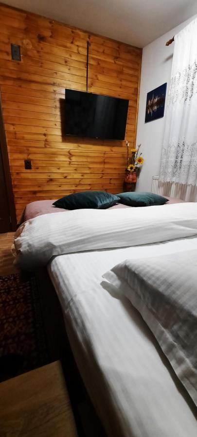 View Cozia Villa Călimăneşti Екстериор снимка