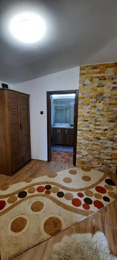 View Cozia Villa Călimăneşti Екстериор снимка