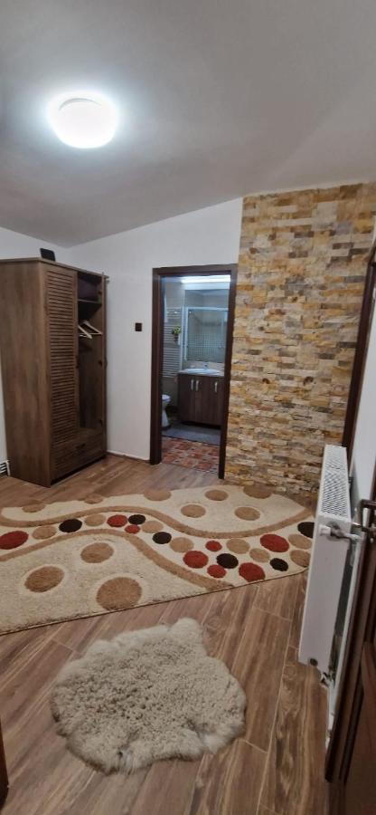 View Cozia Villa Călimăneşti Екстериор снимка