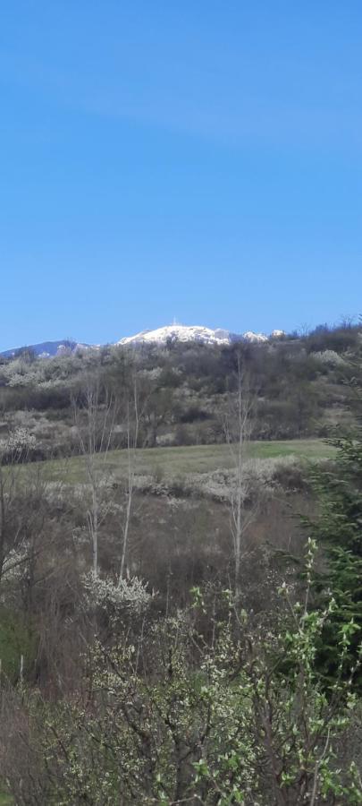 View Cozia Villa Călimăneşti Екстериор снимка
