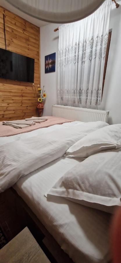 View Cozia Villa Călimăneşti Екстериор снимка